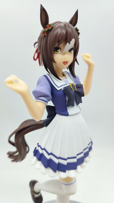 赛马娘 美妙姿势