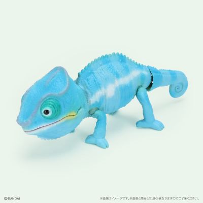 生物大图鉴 爬行类 变色龙