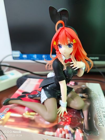 Desktop Cute 五等分的新娘＊  中野五月〜兔女郎〜