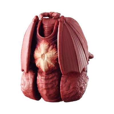 哥斯拉蛋 戴斯特洛伊亚