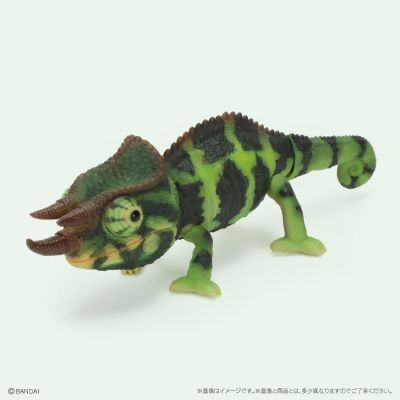 生物大图鉴 爬行类 变色龙