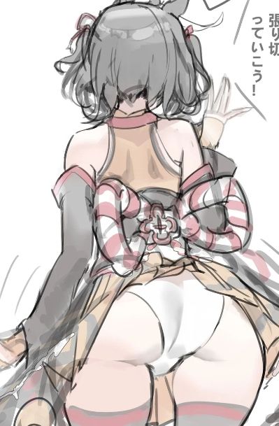 赛马娘/闪耀！优俊少女 Fuwa Petit毛绒玩偶 北部玄驹（S码）