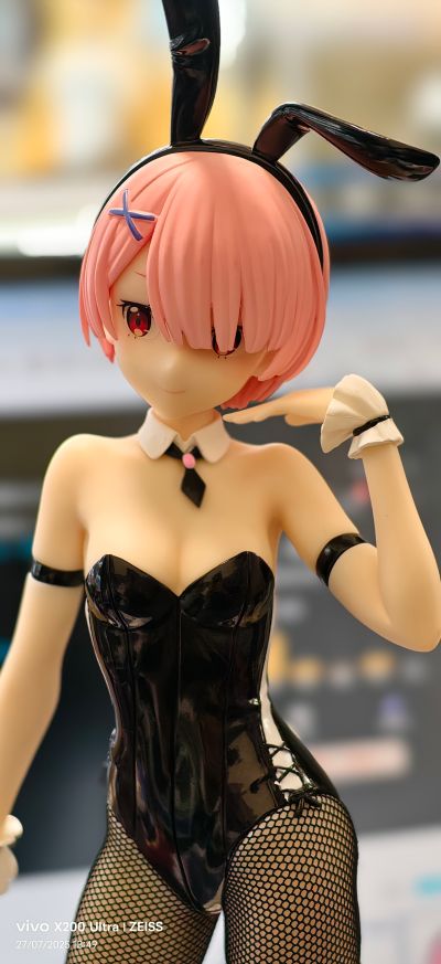 BiCute Bunnies Re：从零开始的异世界生活 拉姆·bicolor