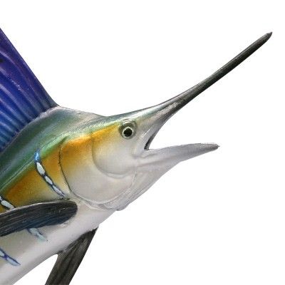 水上精灵#1-005 旗鱼