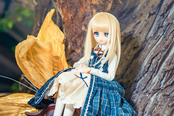 Dollfie Dream  DD 库特wafter 能美库特