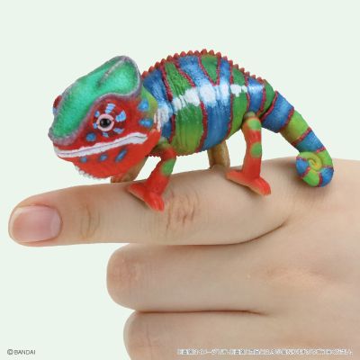 生物大图鉴 爬行类 变色龙