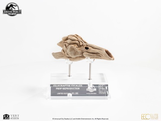 迅猛龙共鸣腔-道具复制品