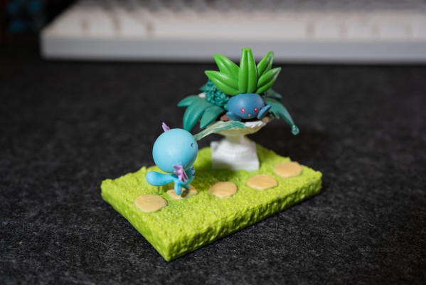 精灵宝可梦 宝可梦花园 充满阳光的午后