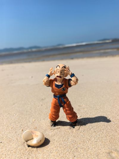 S.H.Figuarts 龙珠Z 库林-最强的地球男人-