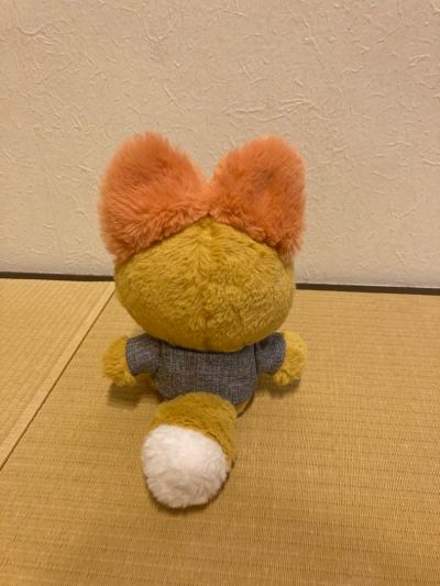 毛绒绒 灵能百分百 第三季 灵幻新隆