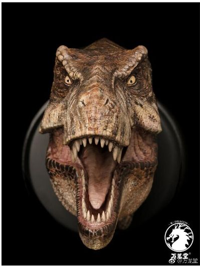 1/15雌性暴龙头像