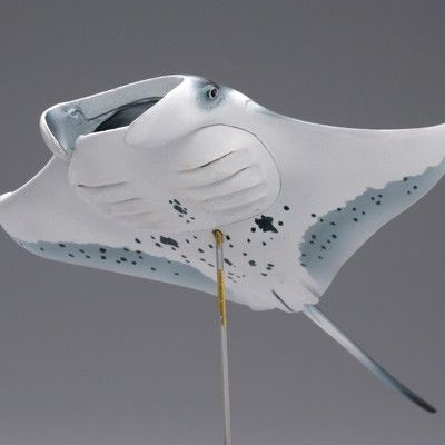 水上精灵 #2-002 鳐鱼（蝠鲼）