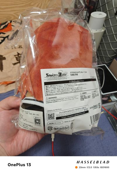 命运石之门 毛绒玩偶 牧濑红莉栖