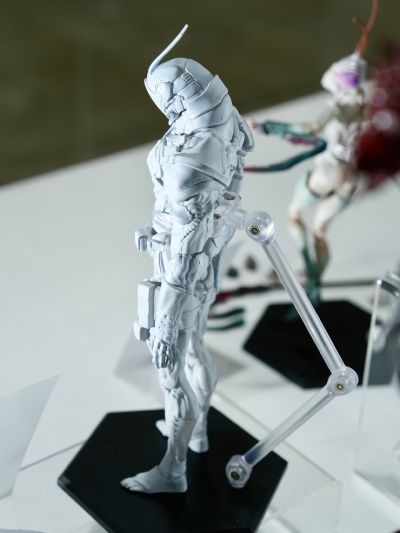 蟲系列 B0200「蝗虫」