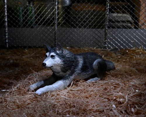 怪形-7英寸比例可动人偶——豪华终极狗形怪物——怪形狗（怪形犬）