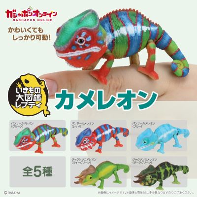 生物大图鉴 爬行类 变色龙