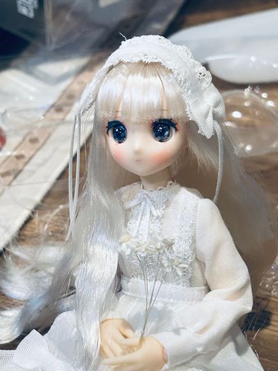 POD050-MWS Colorful Dreamin'/仙境里的玛丽 雪花白