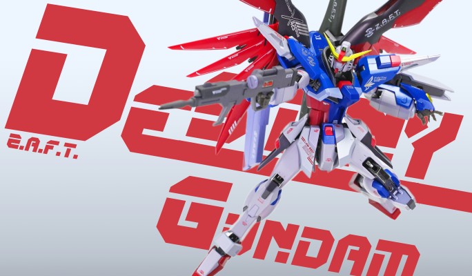 METAL ROBOT魂 ＜机动战士系列＞ 命运高达 [Re:Coordinate]