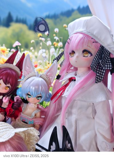 北国之蛾 双子 白桑与灰叶