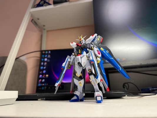 METAL ROBOT魂 ＜机动战士系列＞ 强袭自由高达 [Re:Coordinate]