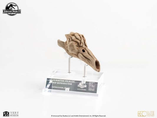 迅猛龙共鸣腔-道具复制品