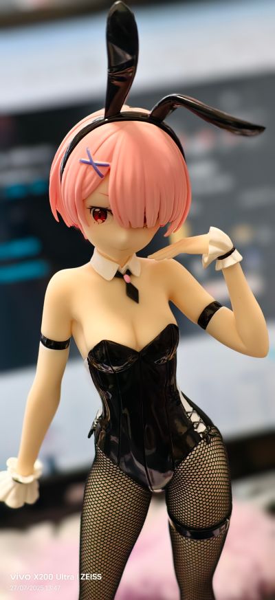 BiCute Bunnies Re：从零开始的异世界生活 拉姆·bicolor