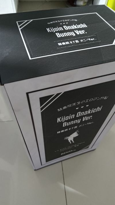 骑乘院奈吉 兔女郎