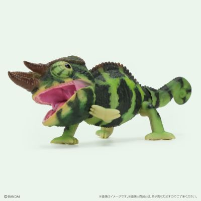 生物大图鉴 爬行类 变色龙