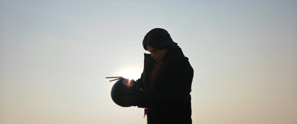 S.H.Figuarts 新·假面骑士 假面骑士第2+1号 / 一文字隼人