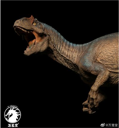 异特龙 蓝舌异色限定版