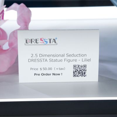 DRESSTA 2.5次元的诱惑 诺基艾露