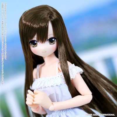 POD020-LCD Sarah's a la Mode 理世/甜蜜时光穿搭套装 ～暗棕色头发～(AZONE网上商店限定)