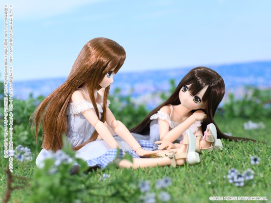 POD020-LCD Sarah's a la Mode 理世/甜蜜时光穿搭套装 ～暗棕色头发～(AZONE网上商店限定)