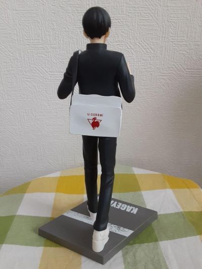 TENITOL 排球少年 日向翔阳