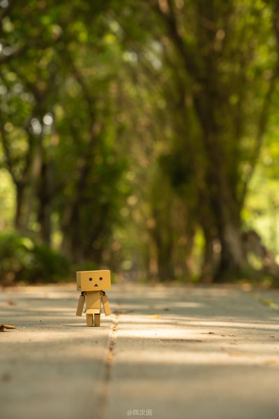 转轮科技 四叶妹妹！ 迷你阿楞