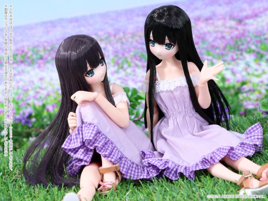 POD022-YCI Sarah's a la Mode 柚叶/甜蜜时光穿搭套装 ~黑紫色头发~池袋直营店-Pun 7周年纪念款（池袋直营店、AZONE网上商店限定）