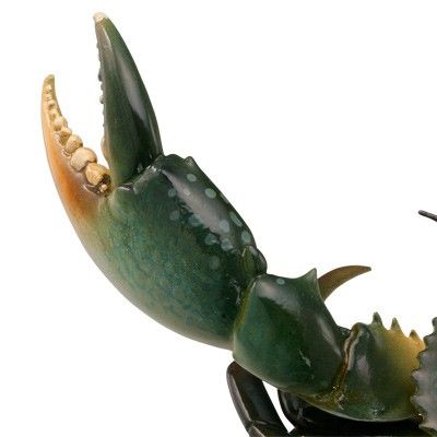 水上精灵#1-006 锯缘青蟹