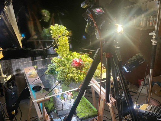 迷宫饭 法琳龙宝宝