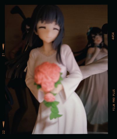 Coreful 青春猪头少年不会梦到怀梦美少女 牧之原翔子（TAITO限定）