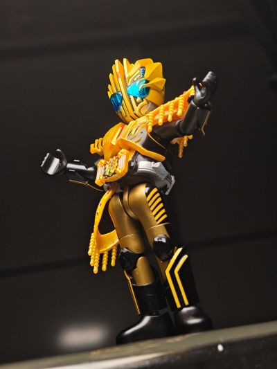 假面骑士-群星版第4弹 华丽传说