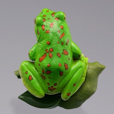 水上精灵 #2-004 森林树蛙