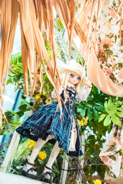 Dollfie Dream  DD 库特wafter 能美库特