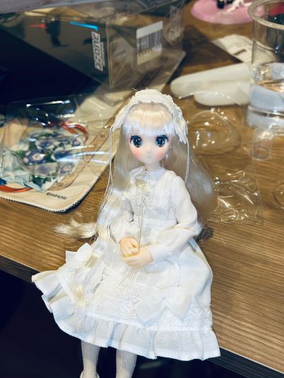 POD050-MWS Colorful Dreamin'/仙境里的玛丽 雪花白