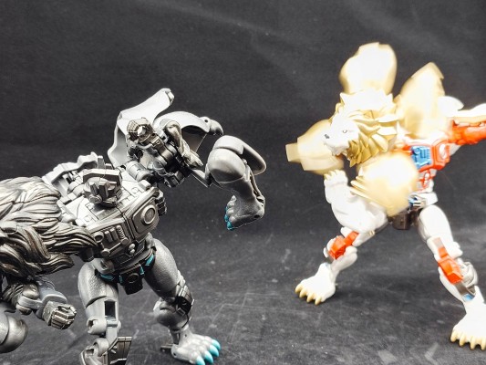 变形金刚40周年纪念款 白狮擎天柱