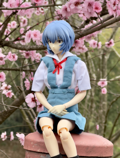 REAL ACTION HEROES-499 EVA破 绫波丽 制服版(EVA)
