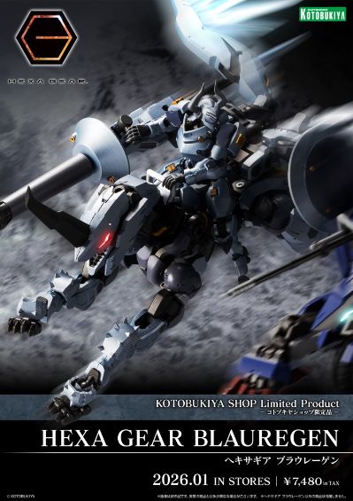 六角机牙 Brauregen