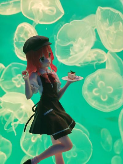 TENITOL 孤独摇滚 喜多郁代 咖啡馆风格