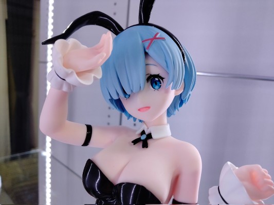 BiCute Bunnies Re：从零开始的异世界生活 雷姆·bicolor