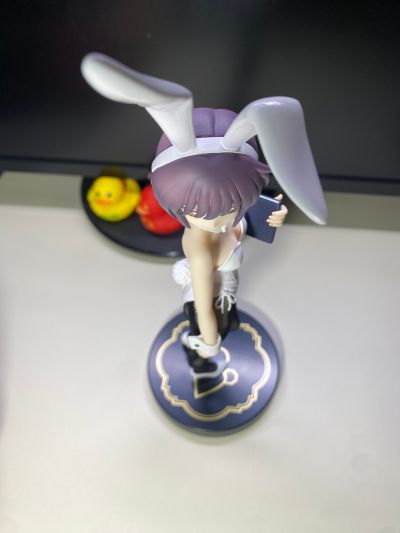 BiCute Bunnies 凉宫春日的忧郁  长门有希