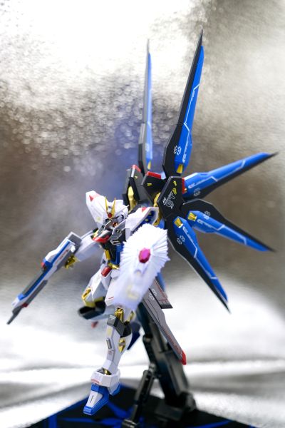 METAL ROBOT魂 ＜机动战士系列＞ 强袭自由高达 [Re:Coordinate]